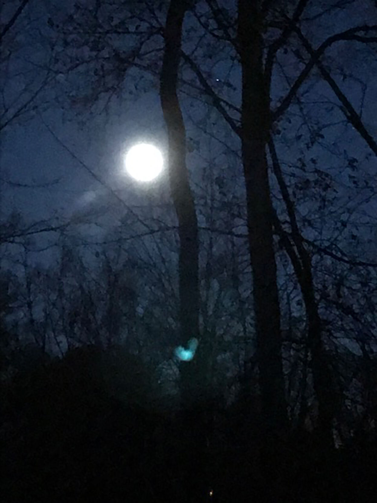 Full moon